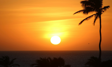 The Perfect 5-Day Aruba Itinerary for First-Time Visitors