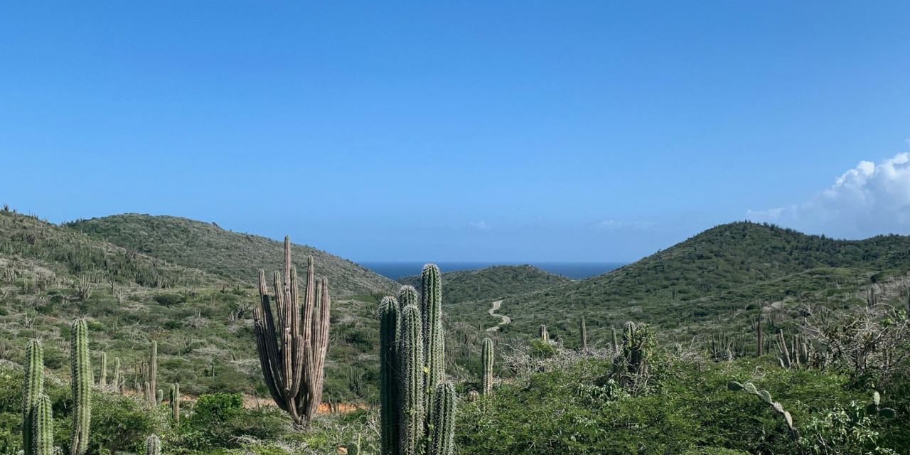 Arikok National Park Guide: Caves, Trails, Fees and Must-See Stops