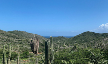 Arikok National Park Guide: Caves, Trails, Fees and Must-See Stops