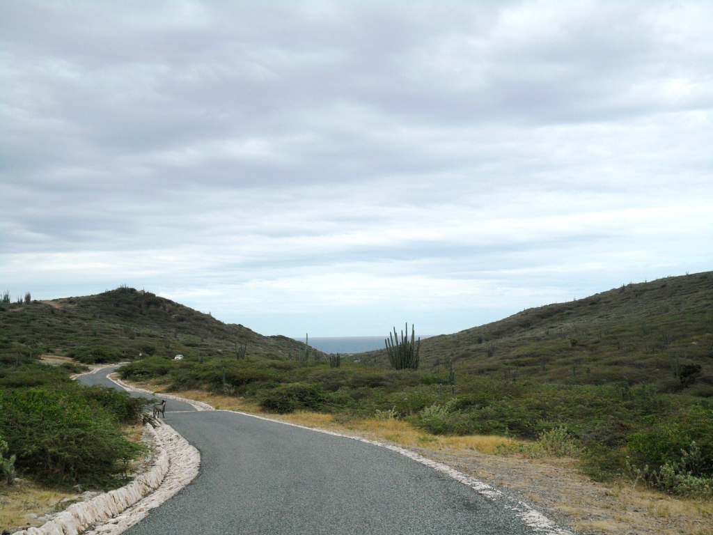 A paved road winding through the hills of Arikok National Park