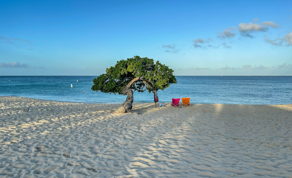 Single tree and two sun loungers on a quiet beach in Aruba