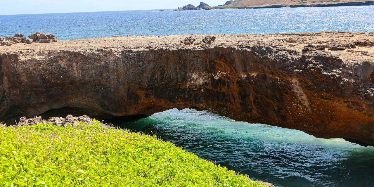 What You’ll See on an Aruba Island Tour, Stop by Stop