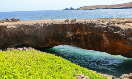 What You’ll See on an Aruba Island Tour, Stop by Stop