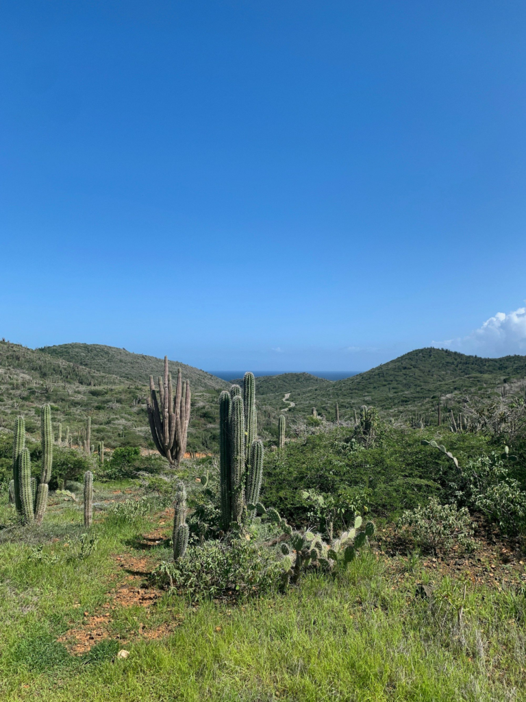 Cactus-covered hills and the sea from the Miralamar viewpoint in Arikok National Park