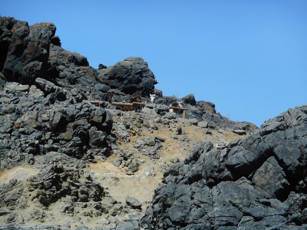 Dark volcanic boulders around the natural pool in Arikok National Park