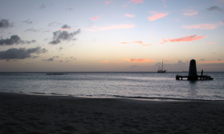 Aruba Nightlife Guide: Party Buses, Bars, Casinos and Late-Night Eats