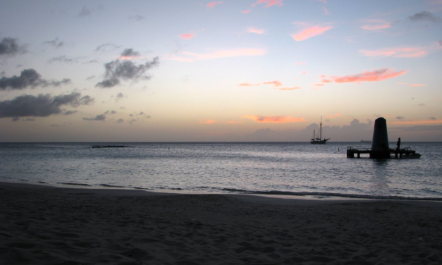 Aruba Nightlife Guide: Party Buses, Bars, Casinos and Late-Night Eats