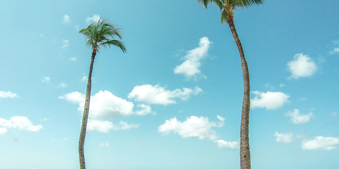 Aruba on a Budget: How to Save Without Missing the Best Experiences