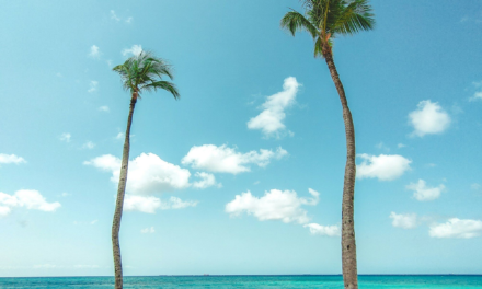 Aruba on a Budget: How to Save Without Missing the Best Experiences