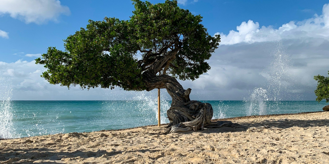 Aruba for First-Timers: 25 Things to Know Before You Go