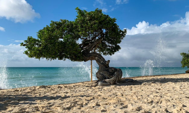 Aruba for First-Timers: 25 Things to Know Before You Go