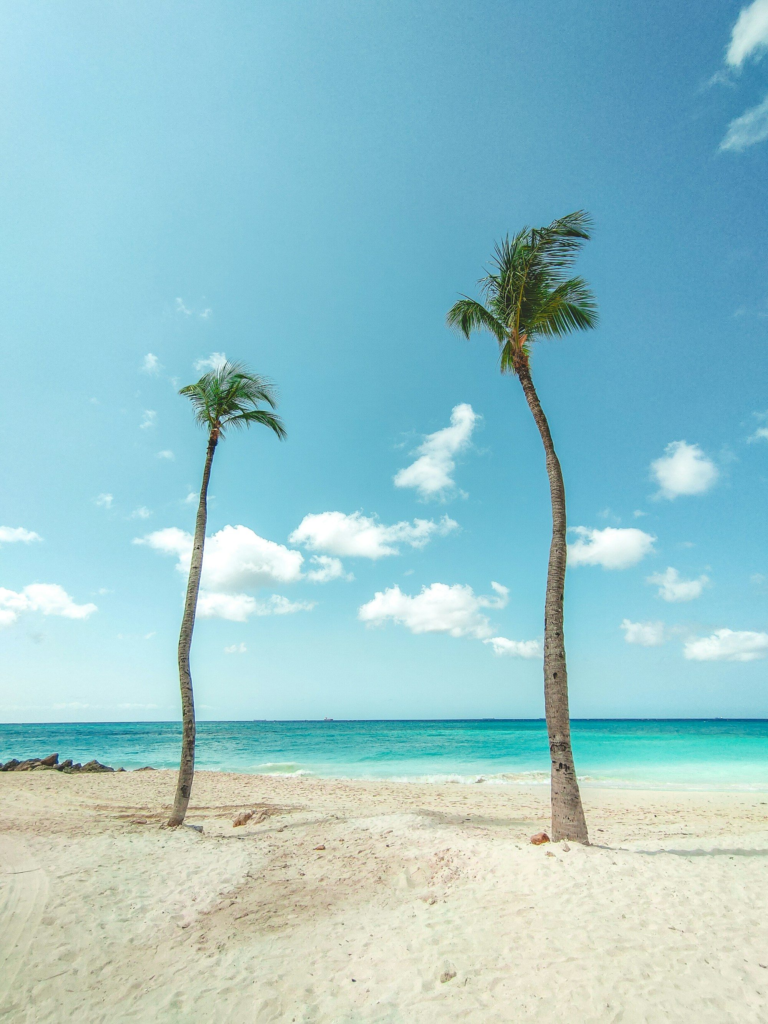 Palm trees and turquoise water on a beach along J.E. Irausquin Boulevard, Aruba