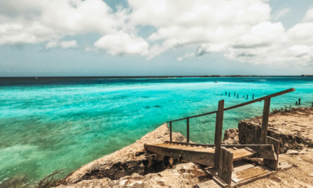 Aruba vs Curaçao vs Bonaire: Which ABC Island Is Right for You?