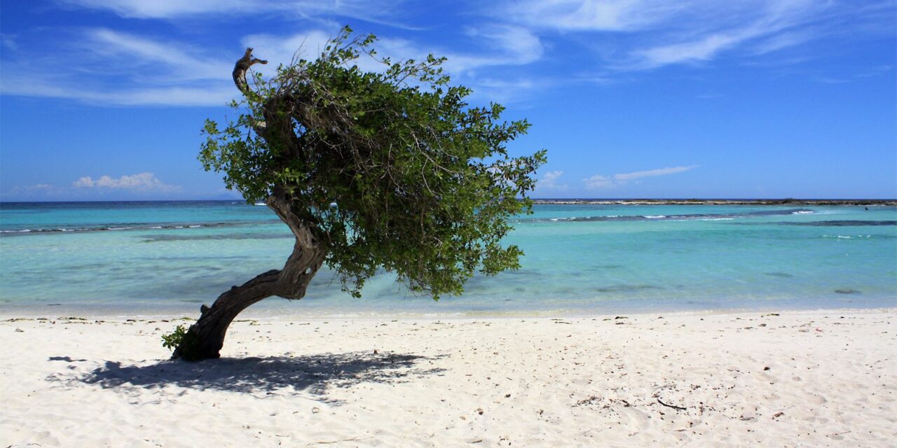 Baby Beach Aruba: Is the Drive to the South Tip Worth It?