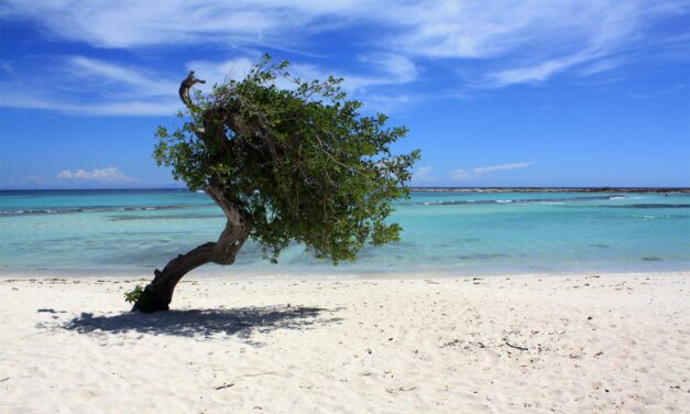 Baby Beach Aruba: Is the Drive to the South Tip Worth It?