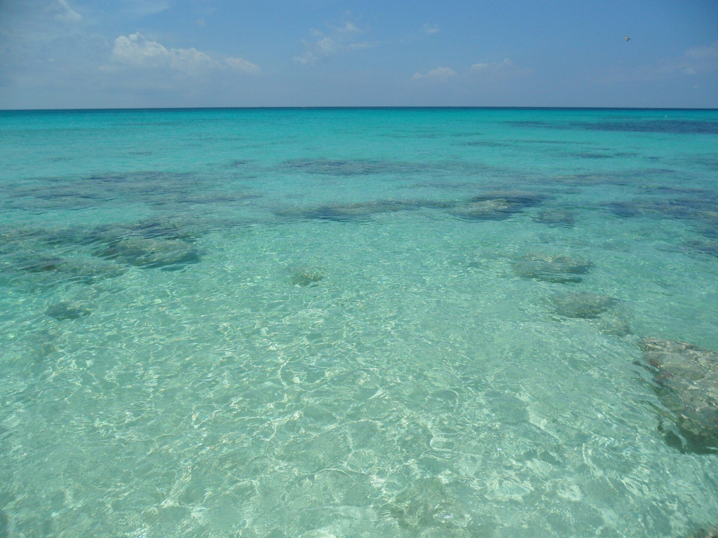Clear, shallow turquoise water over dark reef patches in Noord, Aruba