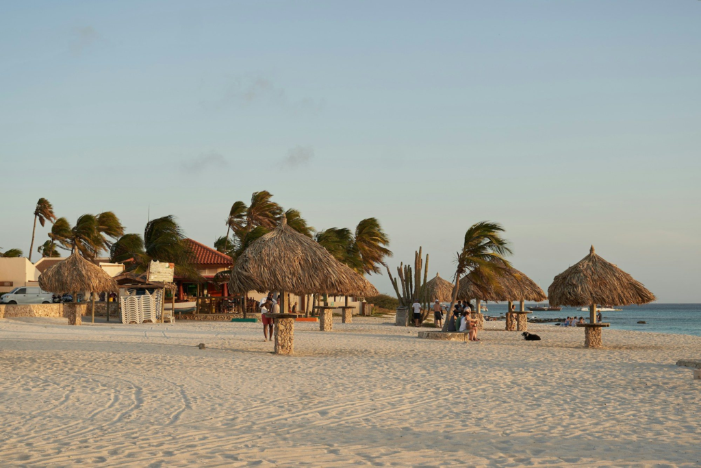 Thatched beach umbrellas and palm trees at Arashi Beach, Aruba, at sunset