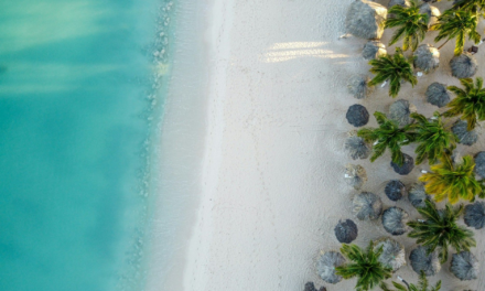 Best Time to Visit Aruba: Month-by-Month Weather, Crowds and Prices