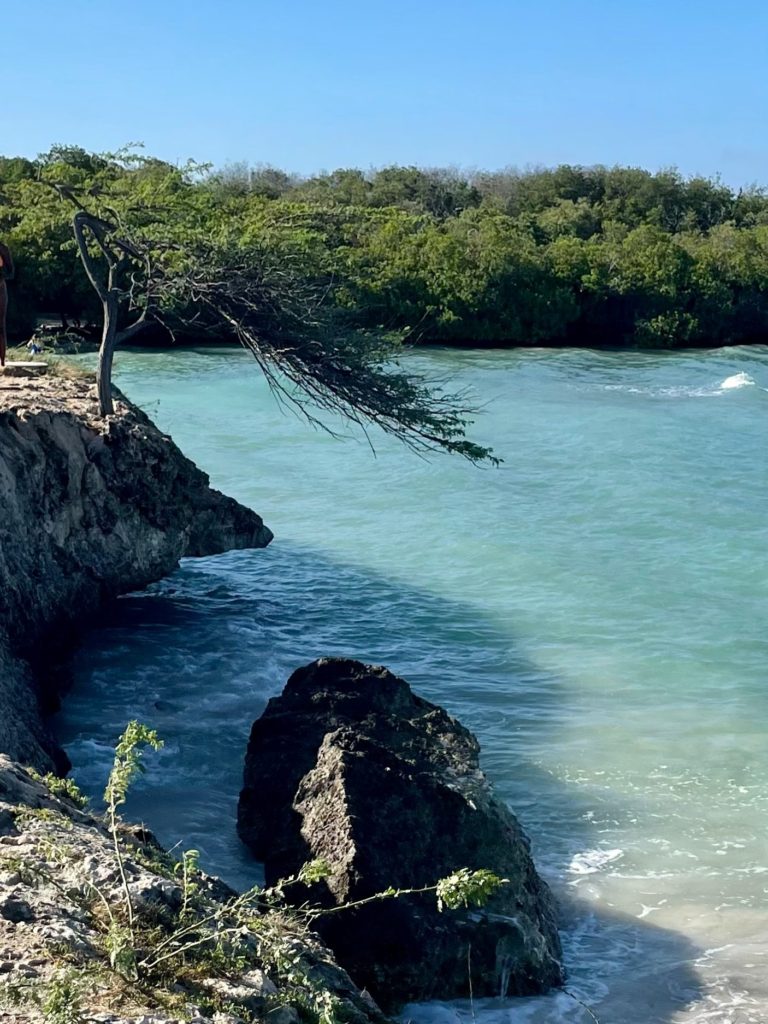 Turquoise water against limestone rocks and mangroves at Mangel Halto