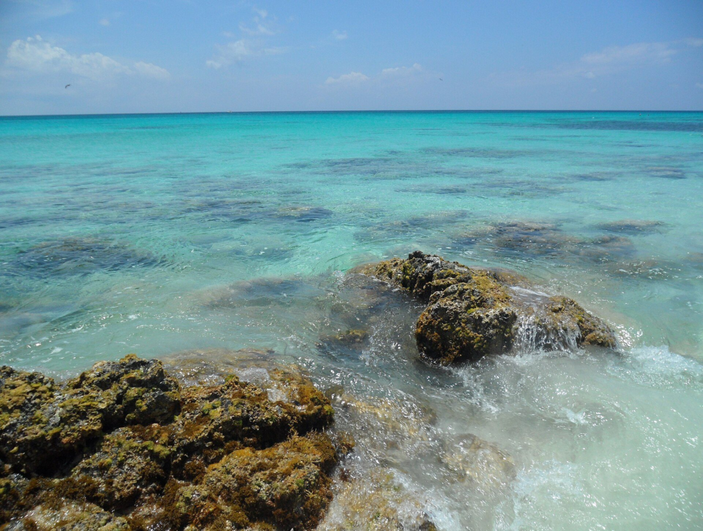 Reef rocks in clear shallow water on the west coast of Aruba