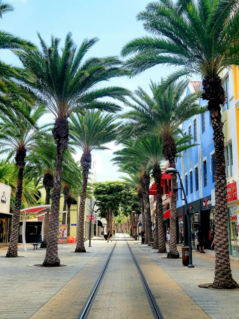 Palm-lined street with shops in downtown Oranjestad, Aruba
