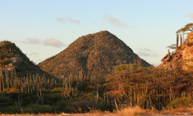 Hiking in Aruba: Hooiberg, Arikok Trails and the Best Times to Go