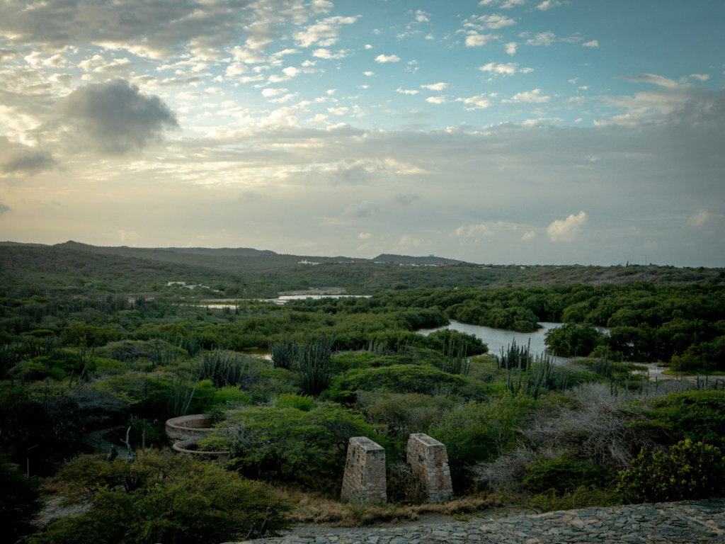 Dry landscape with trees around the Spanish Lagoon at sunrise, Aruba