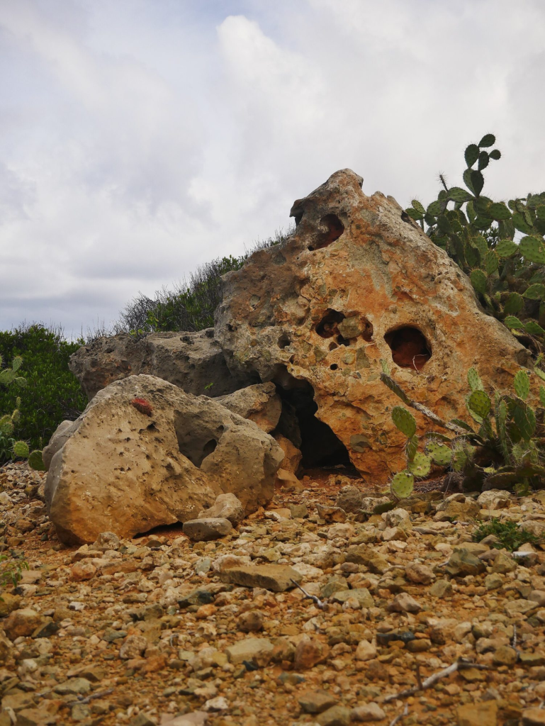 Rocky, rugged ground in Arikok National Park