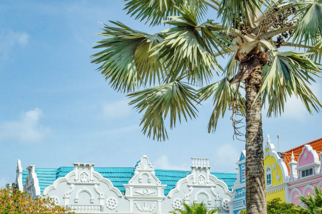 Palm tree in front of a colorful building in downtown Oranjestad, Aruba