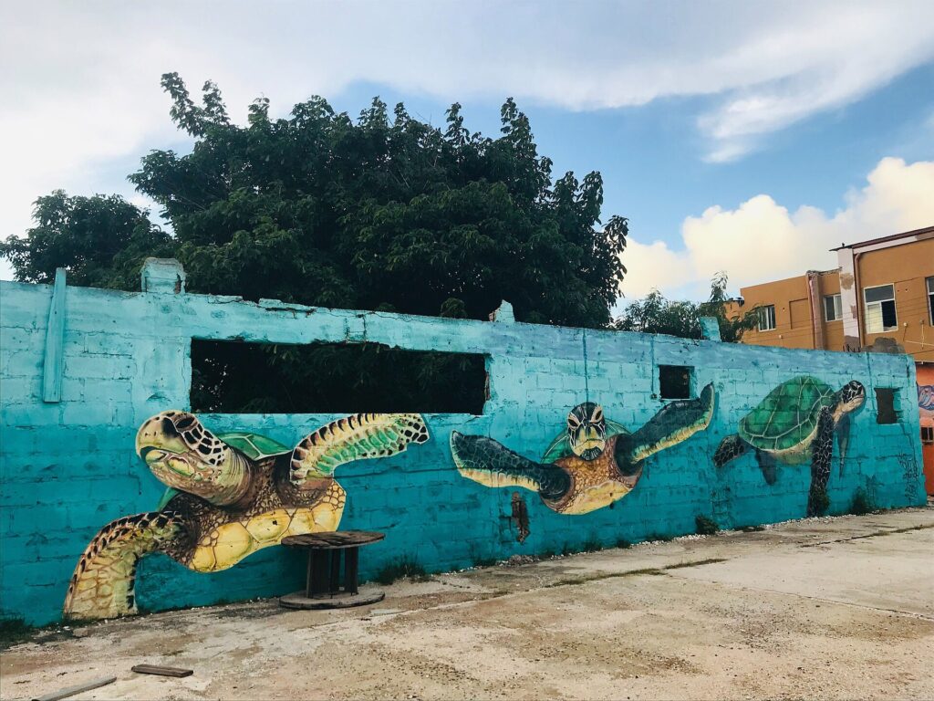 A mural of sea turtles on a long wall in San Nicolas, Aruba