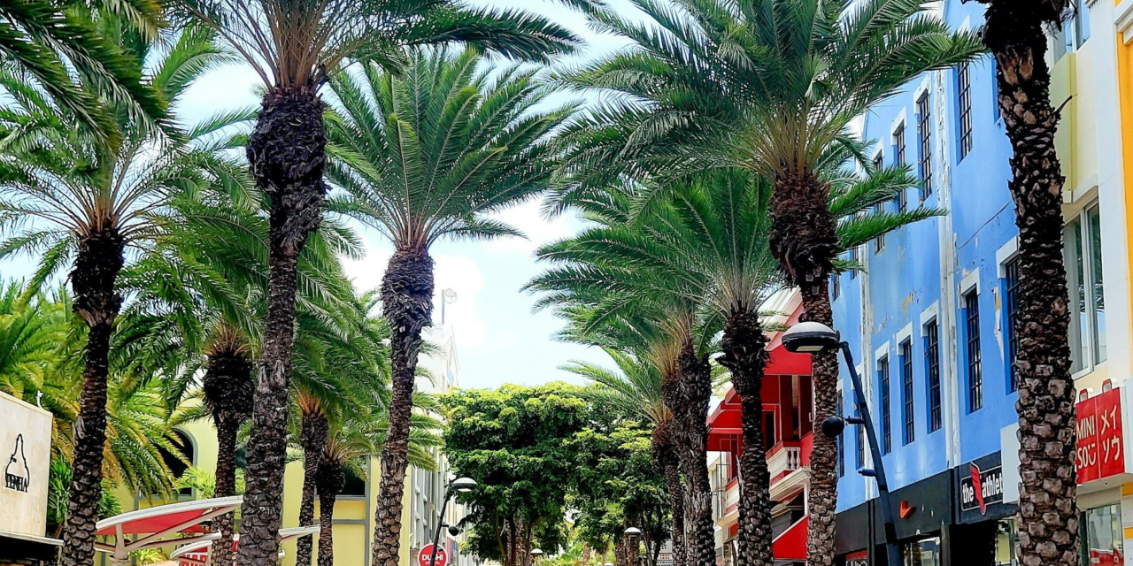 Things to Do in Aruba on a Cloudy or Extra-Windy Day