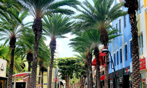 Things to Do in Aruba on a Cloudy or Extra-Windy Day