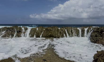 What to Bring on a UTV Tour in Aruba: The No-Regrets Packing List