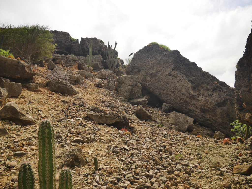 Rocky, sun-baked terrain with cactus in Arikok National Park