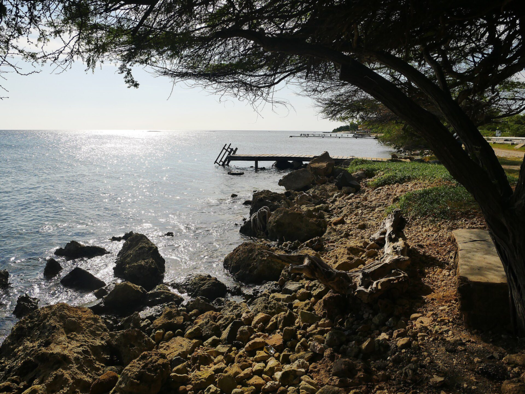 An old pier and rocky shore in Savaneta, Aruba